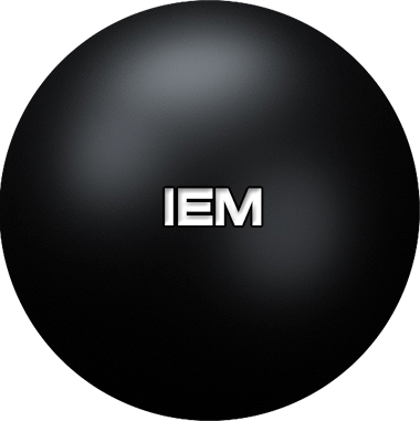 IEM — intelligent enterprise managing systems