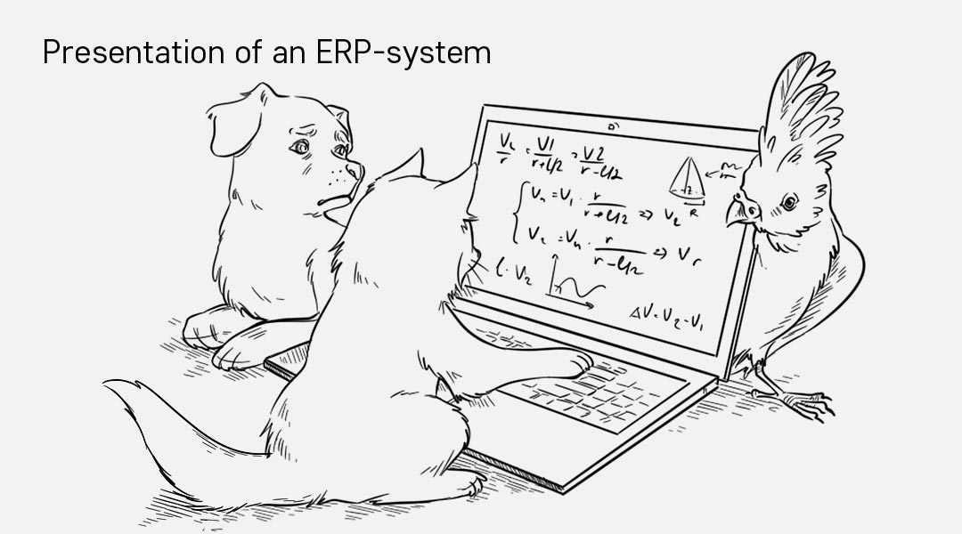 Presentation of an ERP-system